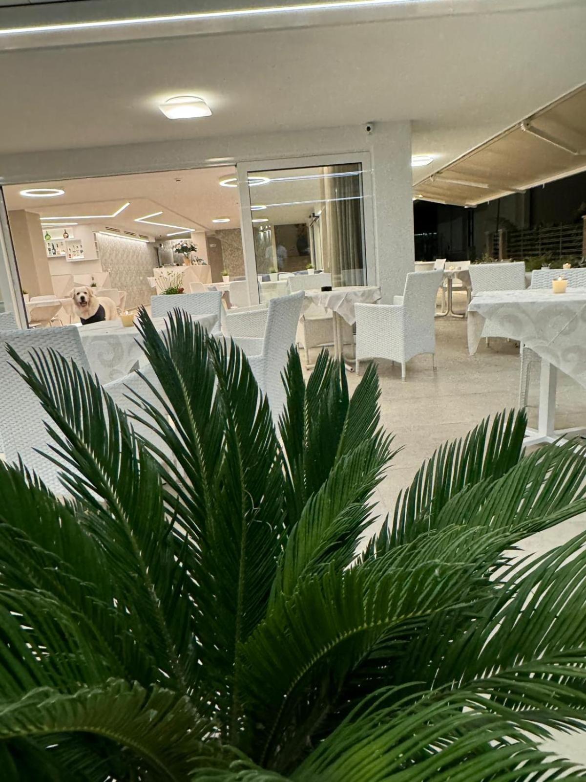 Hotel San Domingo Bellaria-Igea Marina Bagian luar foto