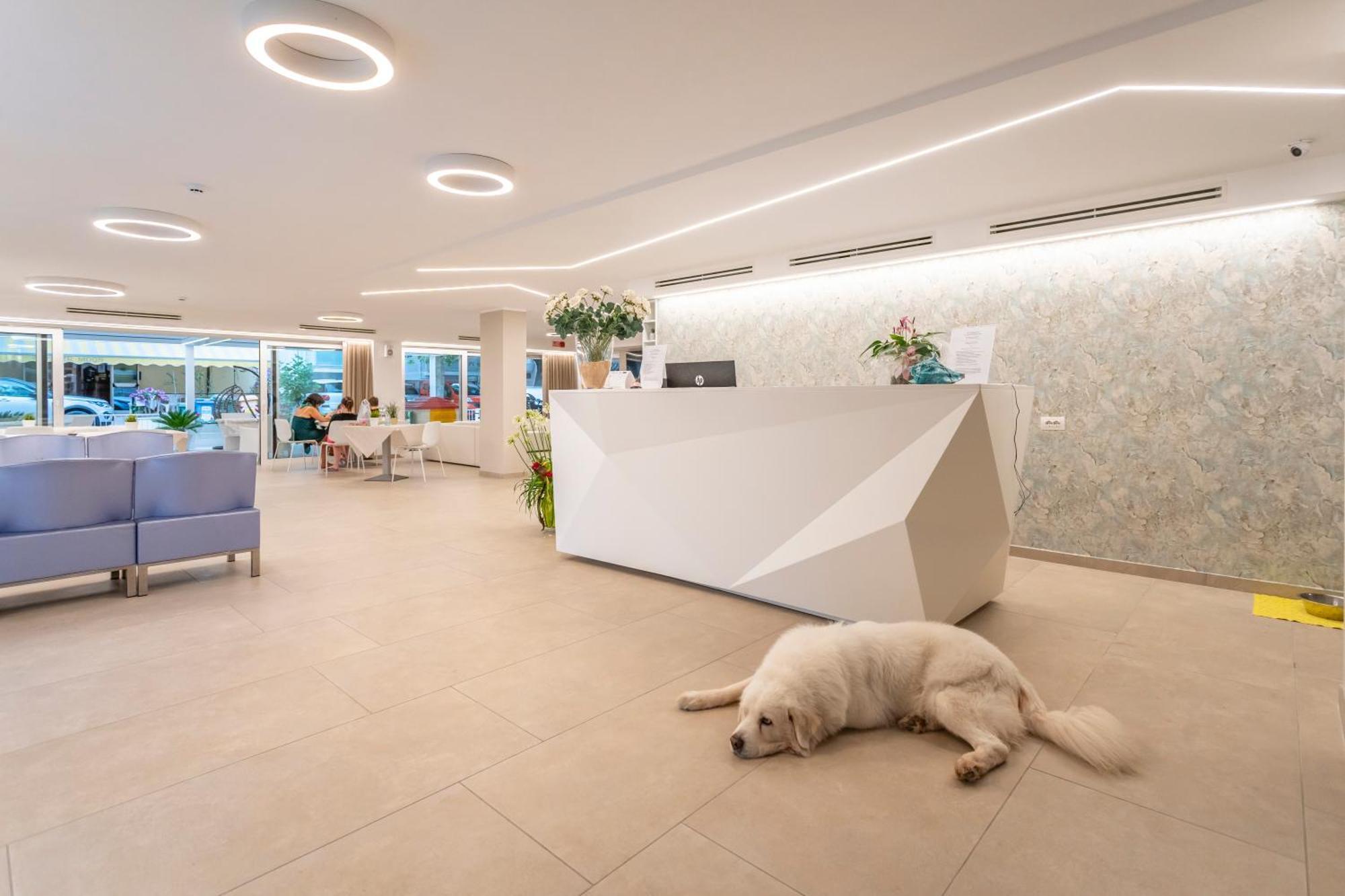 Hotel San Domingo Bellaria-Igea Marina Bagian luar foto